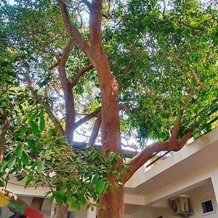Green Hub Pushkar Villa Luaran gambar