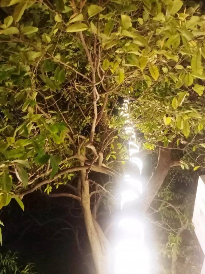 Green Hub Pushkar Villa Luaran gambar
